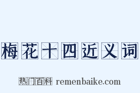 梅花十四近义词是什么意思的图片